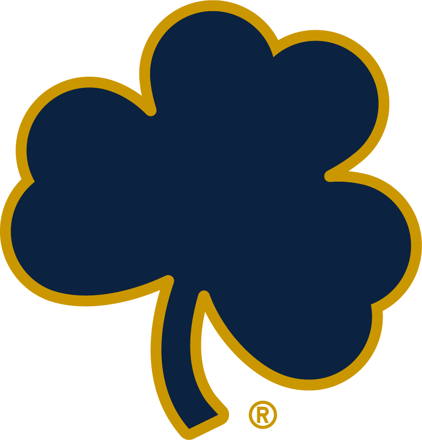 Notre Dame Fighting Irish 2015-Pres Secondary Logo v4 iron on transfers for clothing